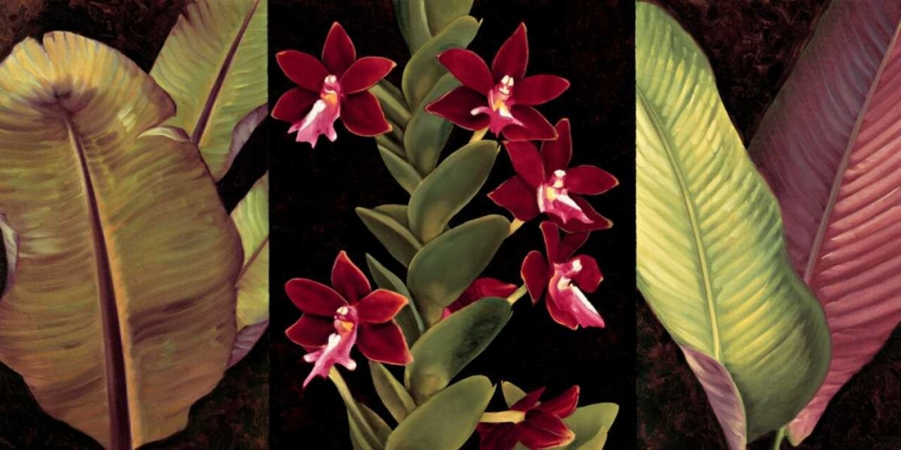 Red Orchids and Palm Leaves Poster Print by Rodolfo Jimenez # RDI4152